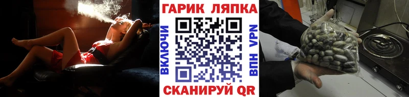 ГАШ VHQ  цены   Высоковск 